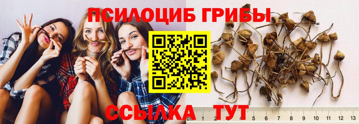 Архангельск  купить закладку  Вход с VPN  Галлюциногенные грибы MAGIC MUSHROOMS 