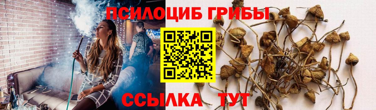 Галлюциногенные грибы мухоморы Архангельск
